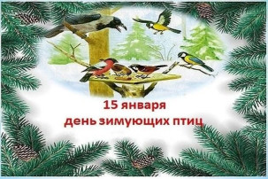 15 января - День зимующих птиц. 15 января - День зимующих птиц.