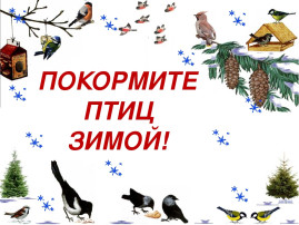 Акция «Покормите птиц зимой» Акция «Покормите птиц зимой».
