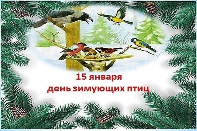 15 января - День зимующих птиц. 15 января - День зимующих птиц.